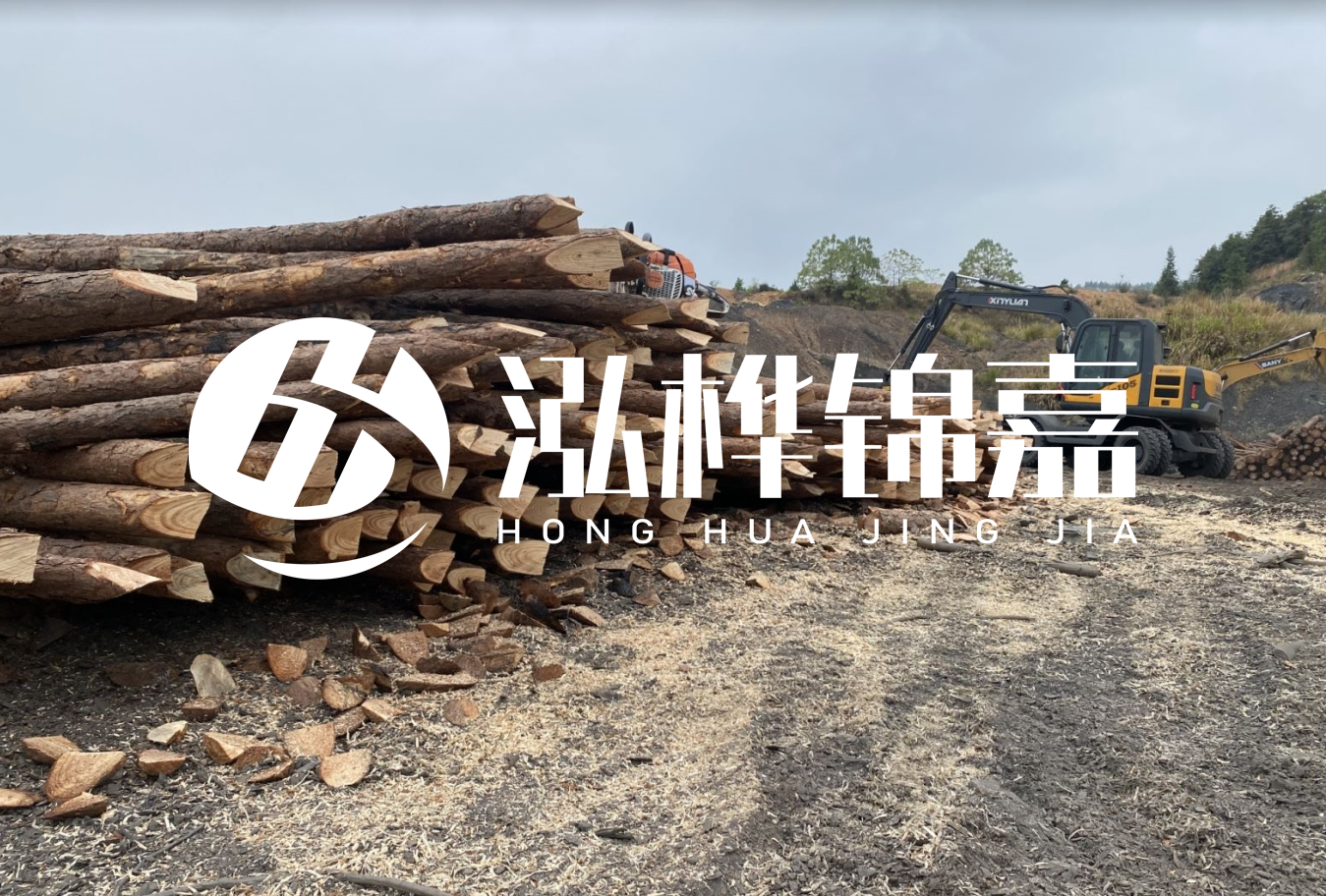 松木樁尾徑是什么意思？