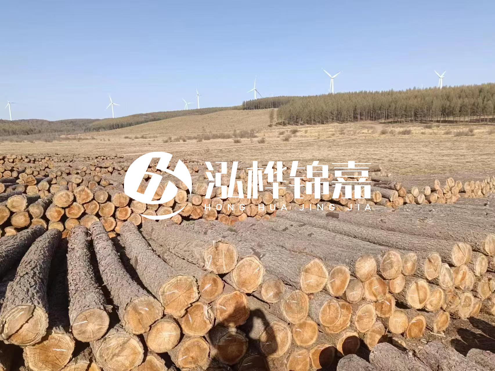 咸寧松木樁源頭廠家-哪里能買到質(zhì)量好的松木樁打樁木？